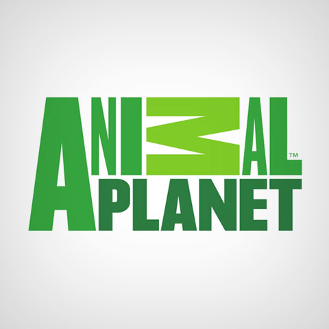 Animal Planet