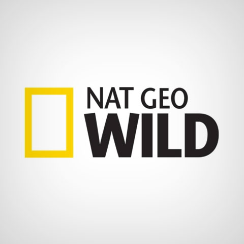 NAT GEO WIld