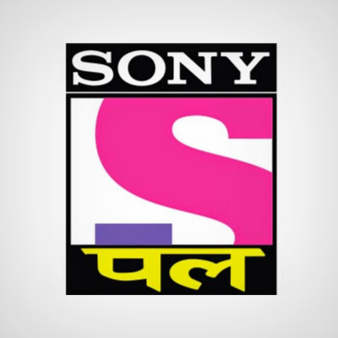 Sony Pal