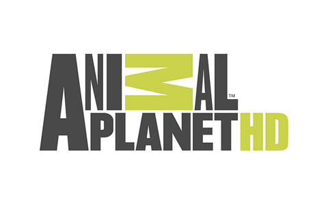 Animal Planet HD